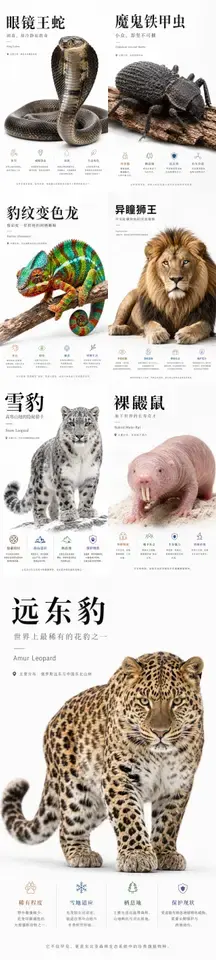 Apple风格自然科普海报